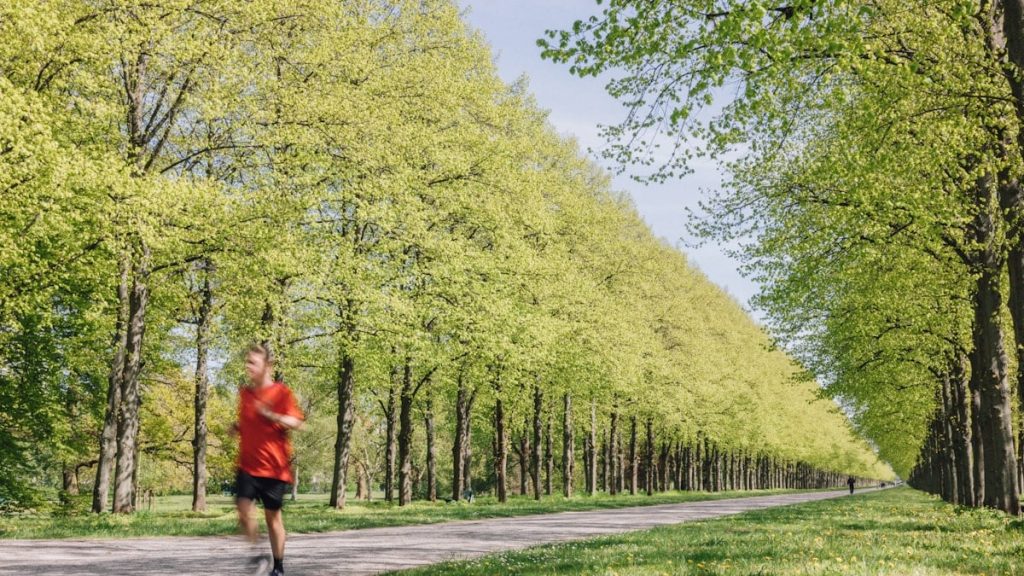 Korzyści z regularnej aktywności fizycznej